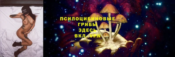 прущие крисы Алзамай