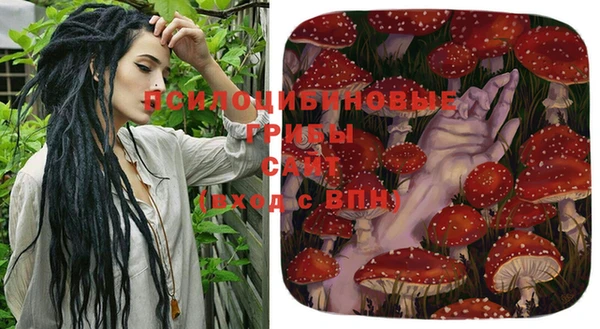прущая мука Армянск