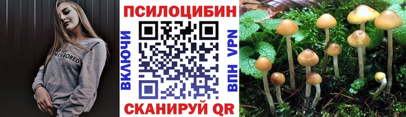 Галлюциногенные грибы прущие грибы  Абинск 